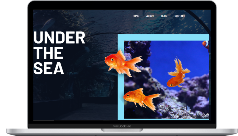 homepage of Under the Sea project